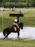 IMG_3737 IMG_3737