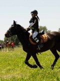 DSC01237 DSC01237