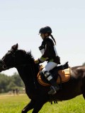 DSC01238 DSC01238