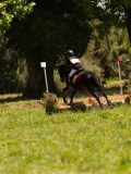 DSC01243 DSC01243