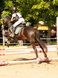 DSC09475 DSC09475