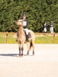 DSC09094