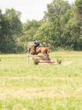 DSC00460