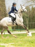 DSC08567