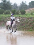 IMG_0168 IMG_0168