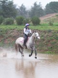 IMG_0169 IMG_0169