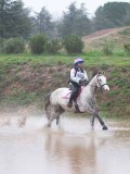 IMG_0170 IMG_0170