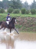 IMG_0093 IMG_0093