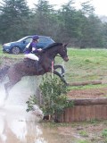 IMG_0098 IMG_0098