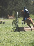 24_06240 24_06240