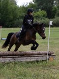 IMG_3725 IMG_3725