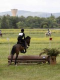 IMG_3726 IMG_3726
