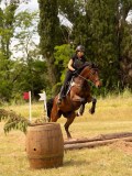 DSC04569 DSC04569