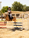 DSC09496 DSC09496
