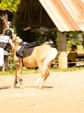DSC09504 DSC09504