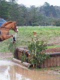 IMG_0344 IMG_0344
