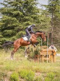 IMG_9760