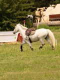 DSC09039