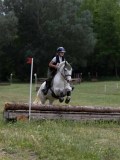IMG_3786 IMG_3786