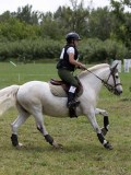 IMG_3789 IMG_3789