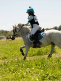 DSC01253 DSC01253