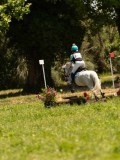 DSC01256 DSC01256