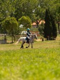 DSC01260 DSC01260