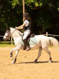 DSC09518 DSC09518