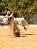 DSC09519 DSC09519