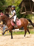 DSC06008