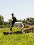 DSC01264 DSC01264