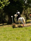DSC01266 DSC01266