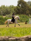 DSC01280 DSC01280