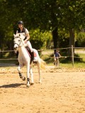 DSC09525 DSC09525