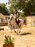 DSC09529 DSC09529
