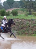 IMG_0328 IMG_0328
