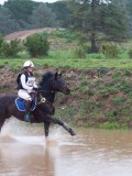 IMG_0329 IMG_0329