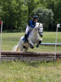 IMG_3803 IMG_3803