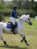 IMG_3805 IMG_3805