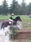 IMG_0081 IMG_0081