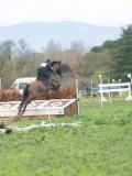 24_04013 24_04013