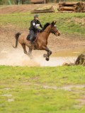DSC06745 DSC06745
