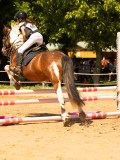 DSC09564 DSC09564