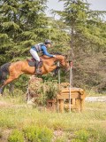 IMG_9871 IMG_9871