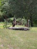 IMG_3762 IMG_3762