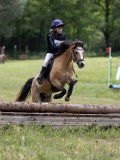 IMG_3765 IMG_3765