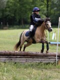 IMG_3766 IMG_3766