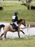 IMG_3767 IMG_3767