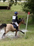 IMG_3769 IMG_3769