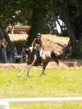 24_05337 24_05337